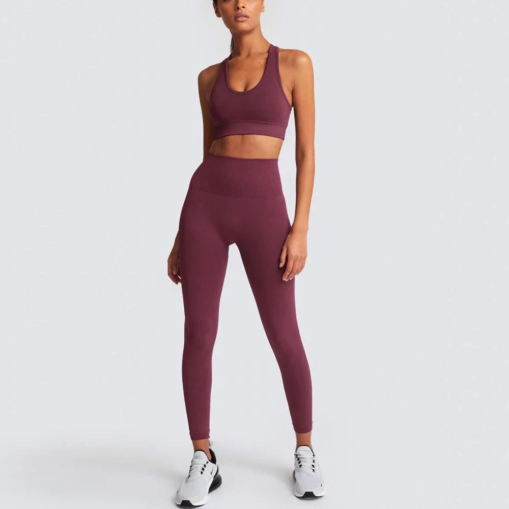 Seamless Blank Yoga Pants Active Wear Gym Sets for Women