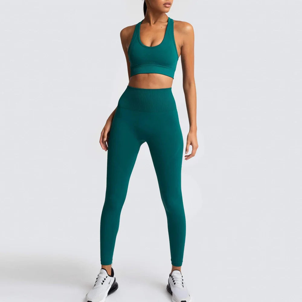 Seamless Blank Yoga Pants Active Wear Gym Sets for Women