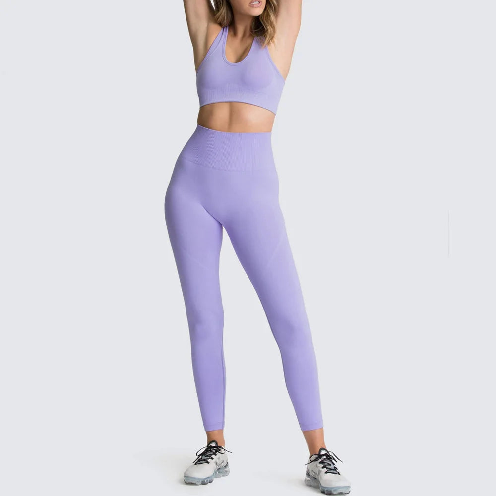 Seamless Blank Yoga Pants Active Wear Gym Sets for Women